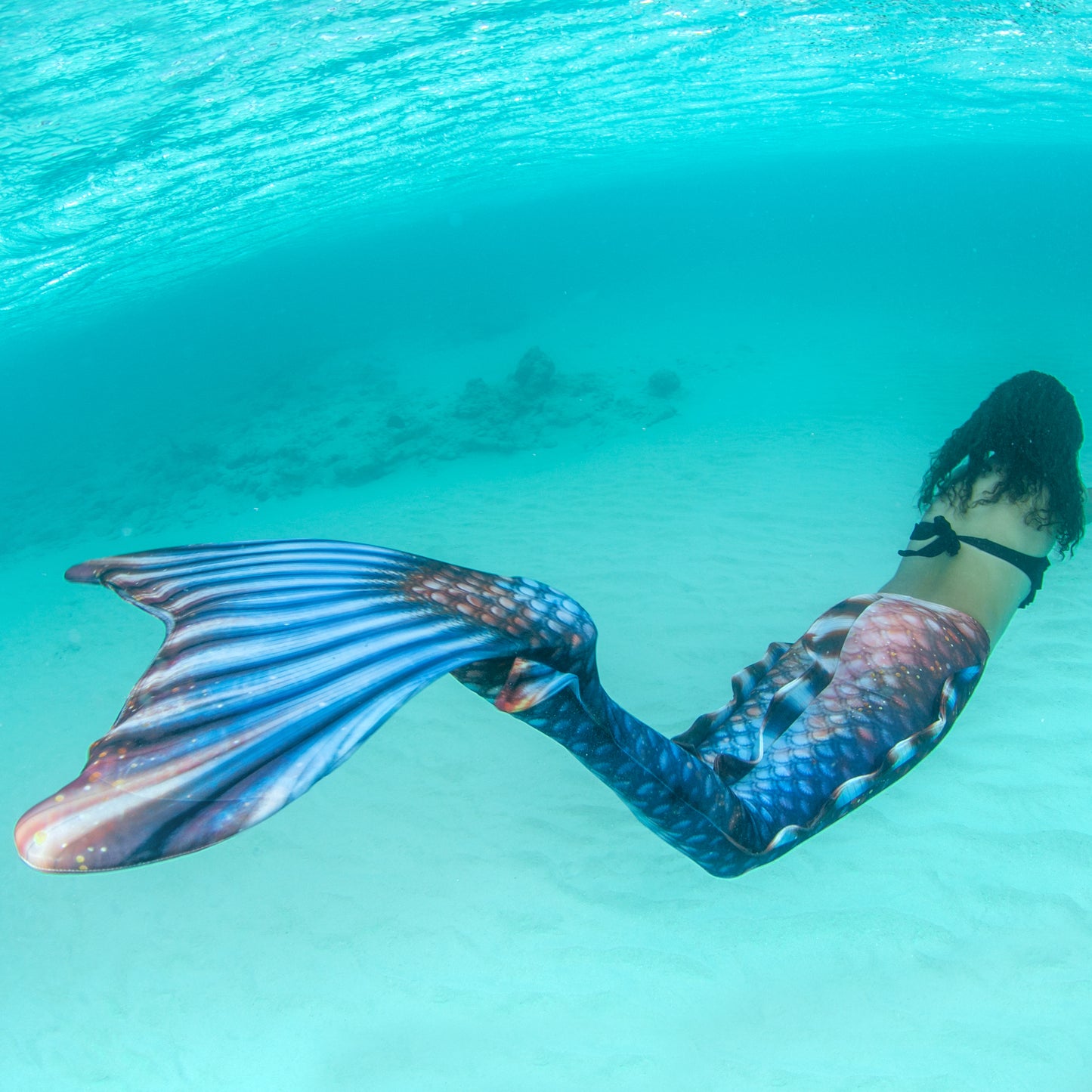 Bronzed Sapphire Atlantis Mermaid Tail