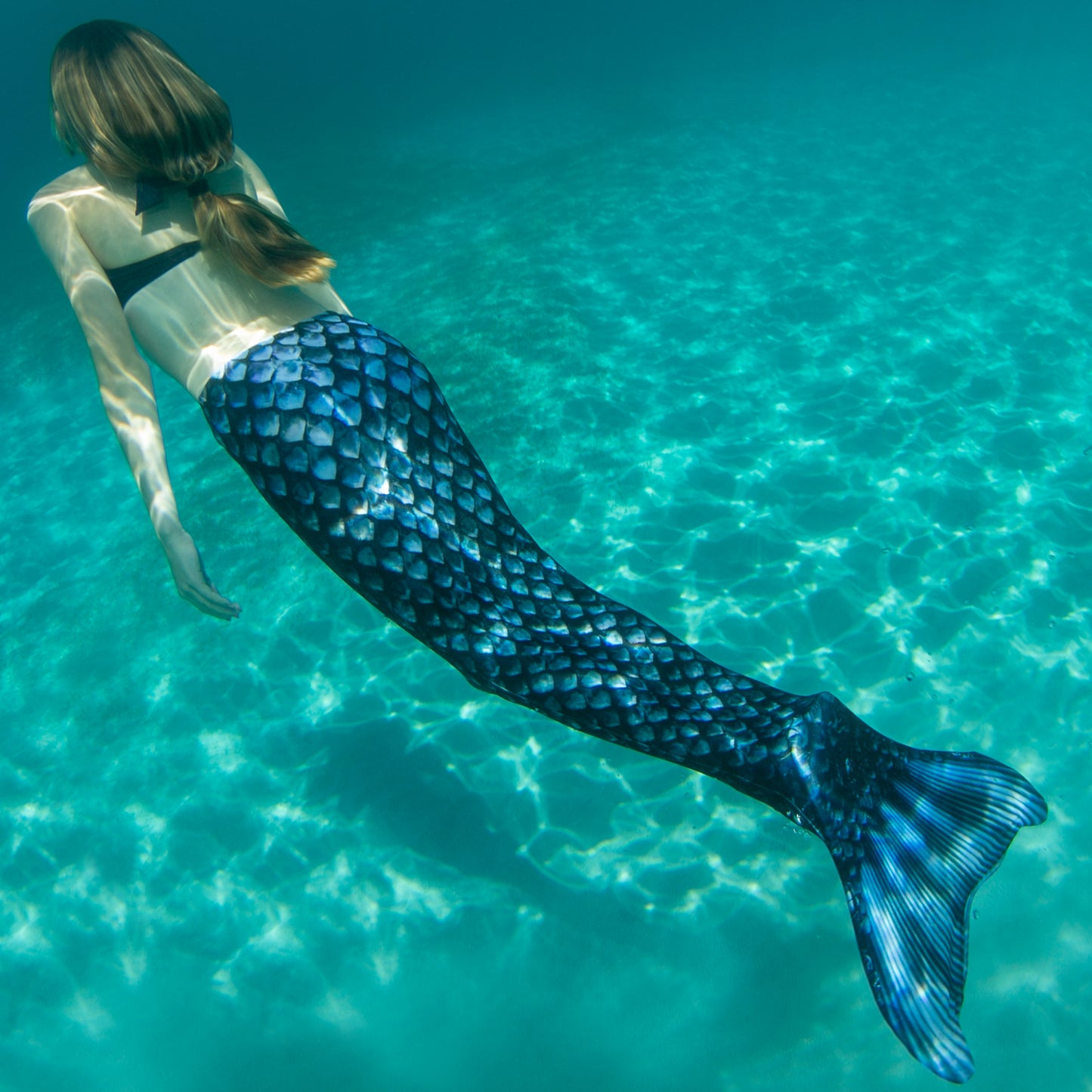 Barracuda Black Mermaid Tail