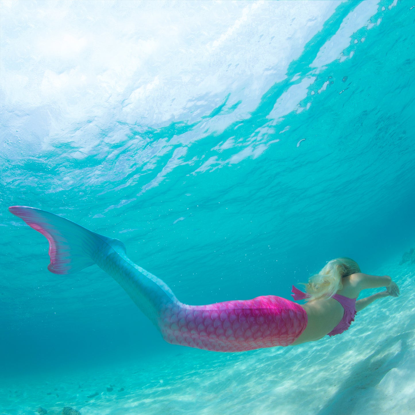 Bahama Blush Mermaid Tail