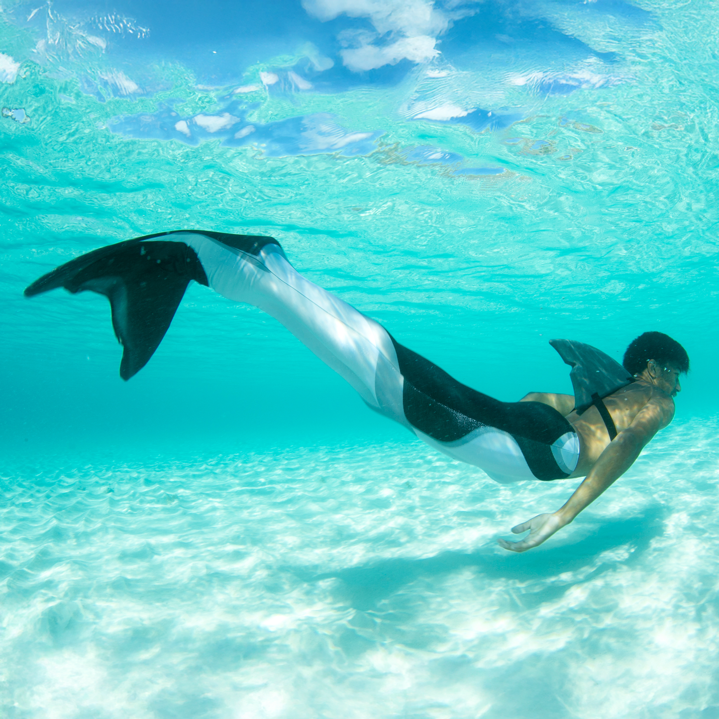 Orca Mermaid and Merman Tail