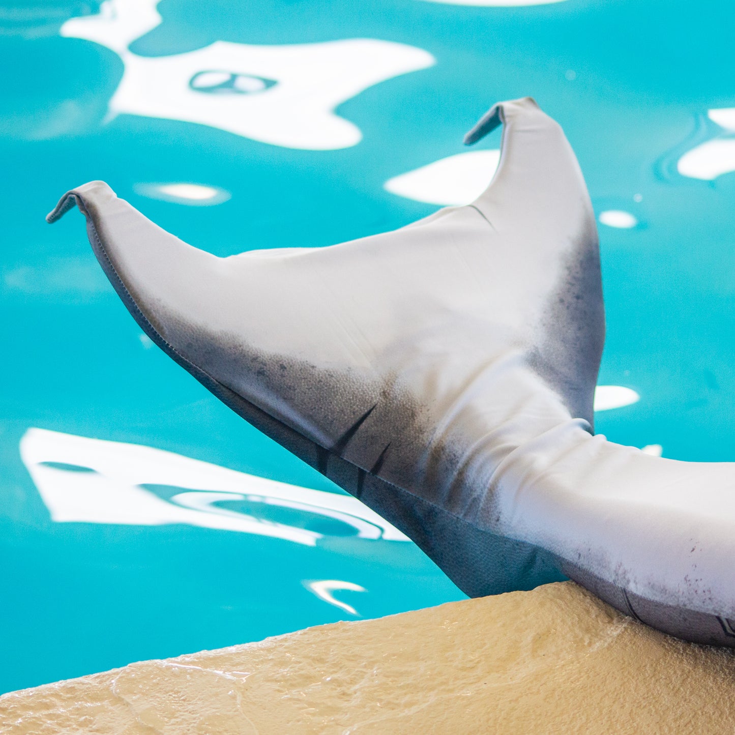 New Great White Shark Fantasy Starter Tail with Monofin