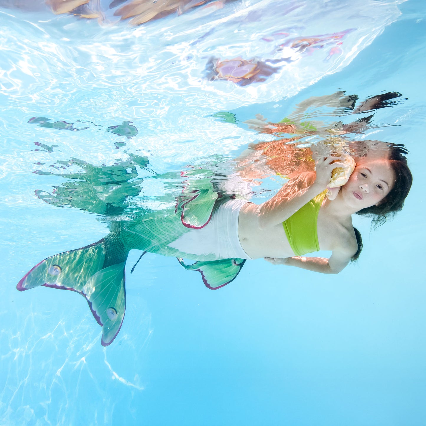 Luna Moth Mermaid tail