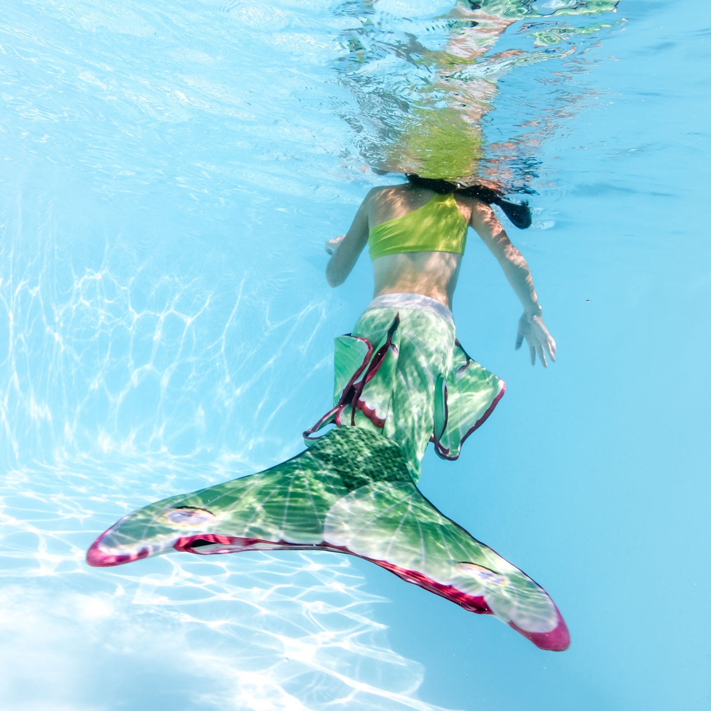 Luna Moth Mermaid tail