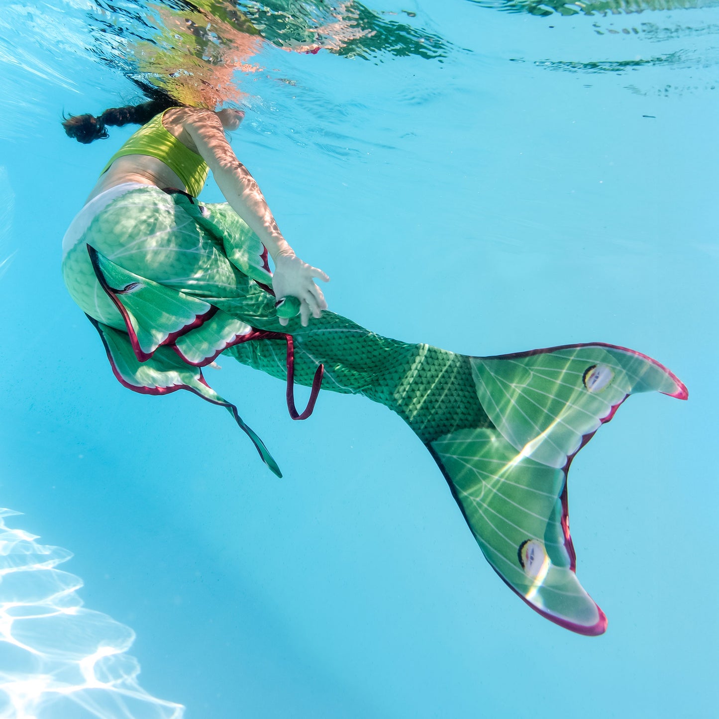 Luna Moth Mermaid tail