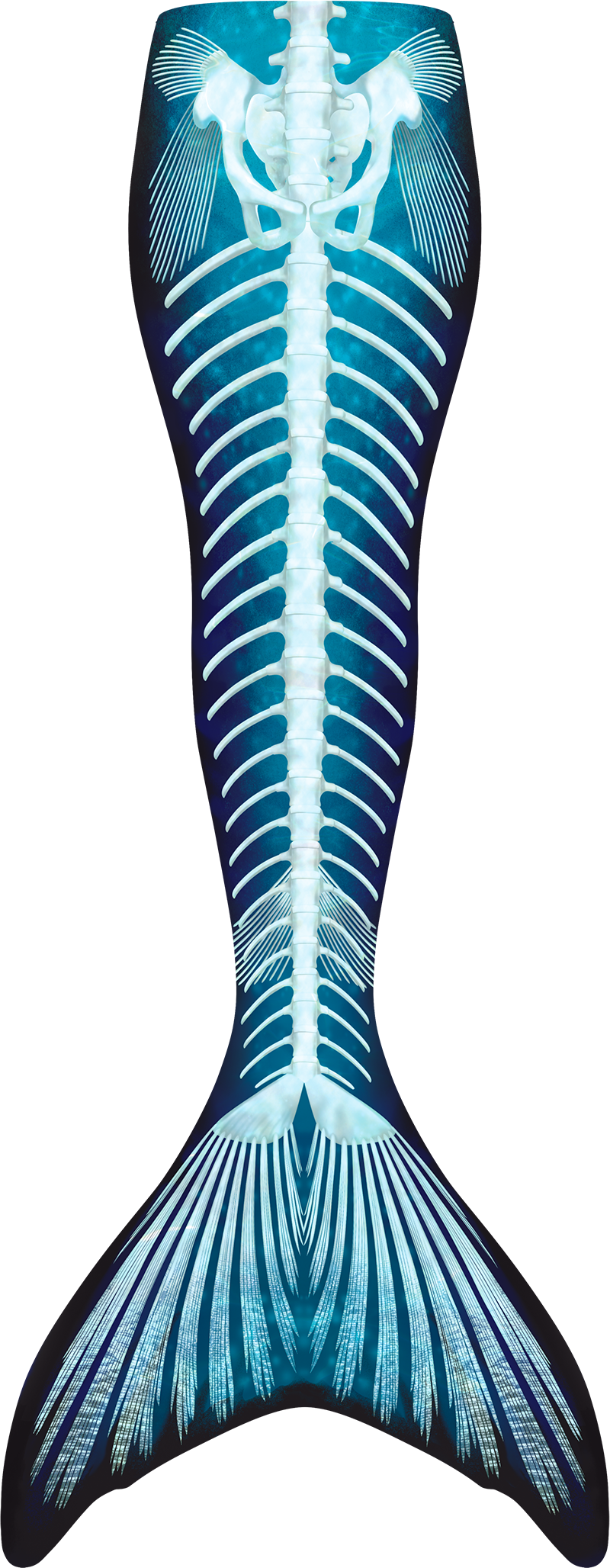 Custom Halloween Mermaid Tail