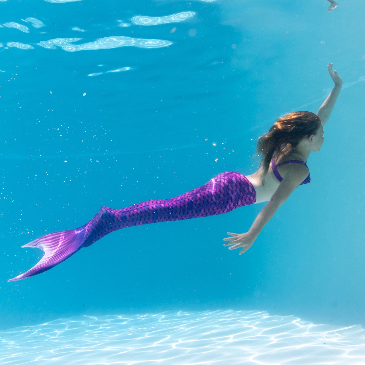 Asiatischer Magenta Meerjungfrauenschwanz