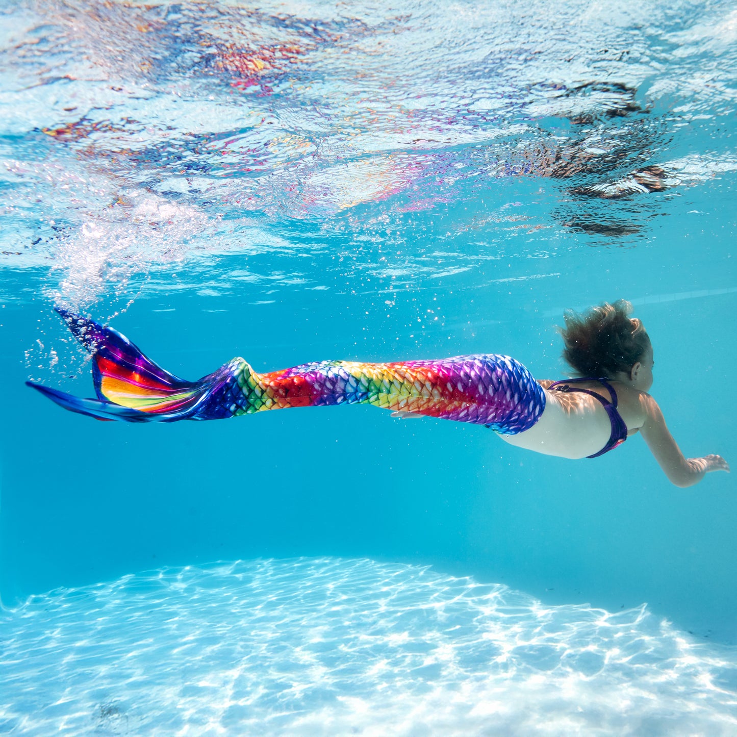 Regenbogen-Riff Meerjungfrauenschwanz