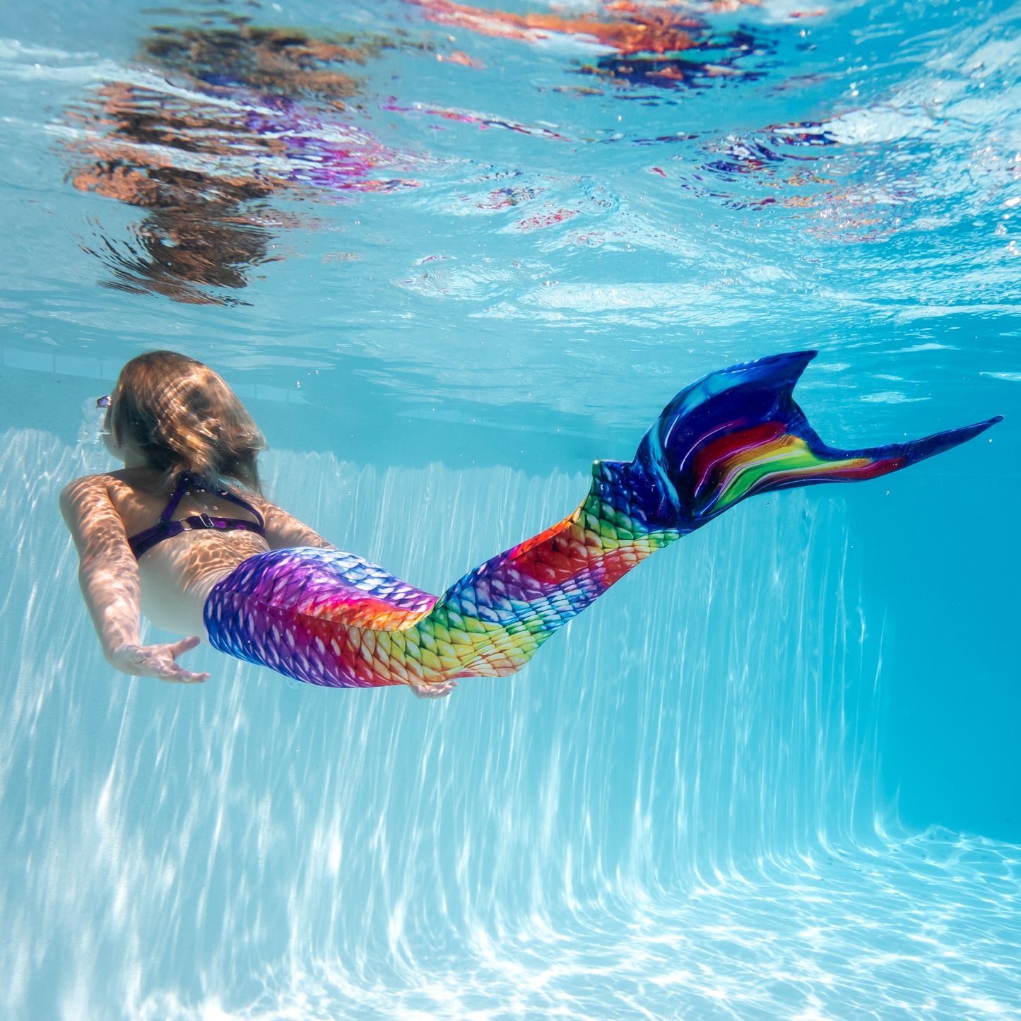 Regenbogen-Riff Meerjungfrauenschwanz