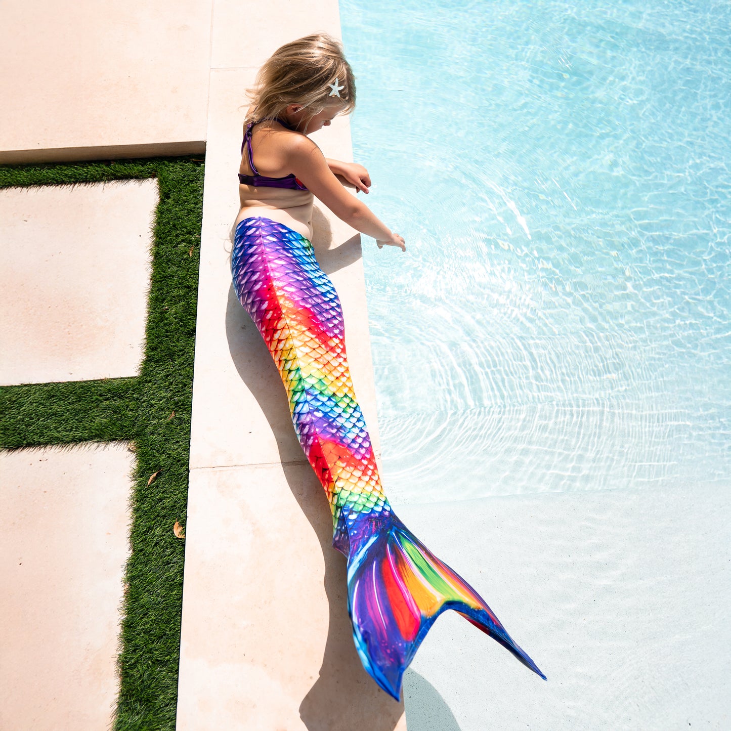 Regenbogen-Riff Meerjungfrauenschwanz