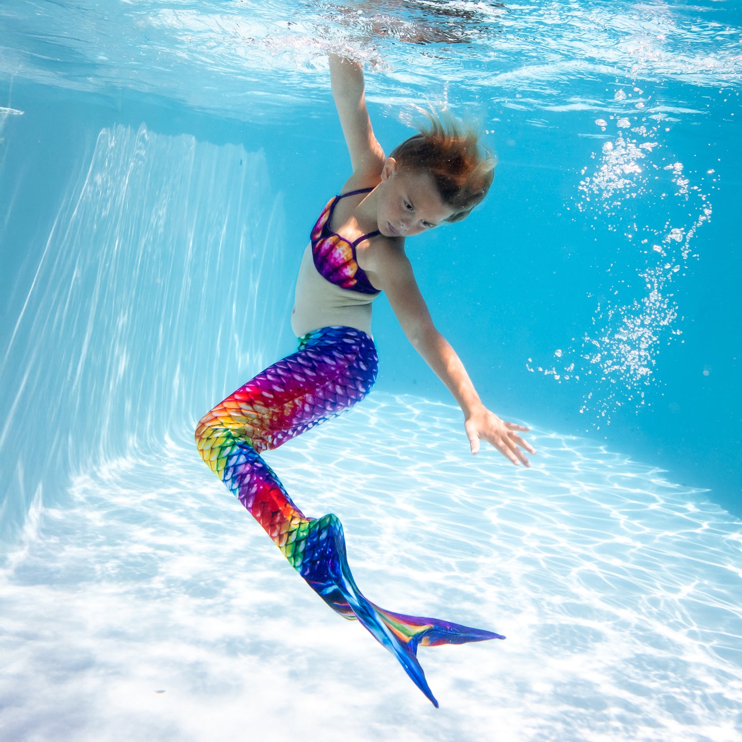 Regenbogen-Riff Meerjungfrauenschwanz