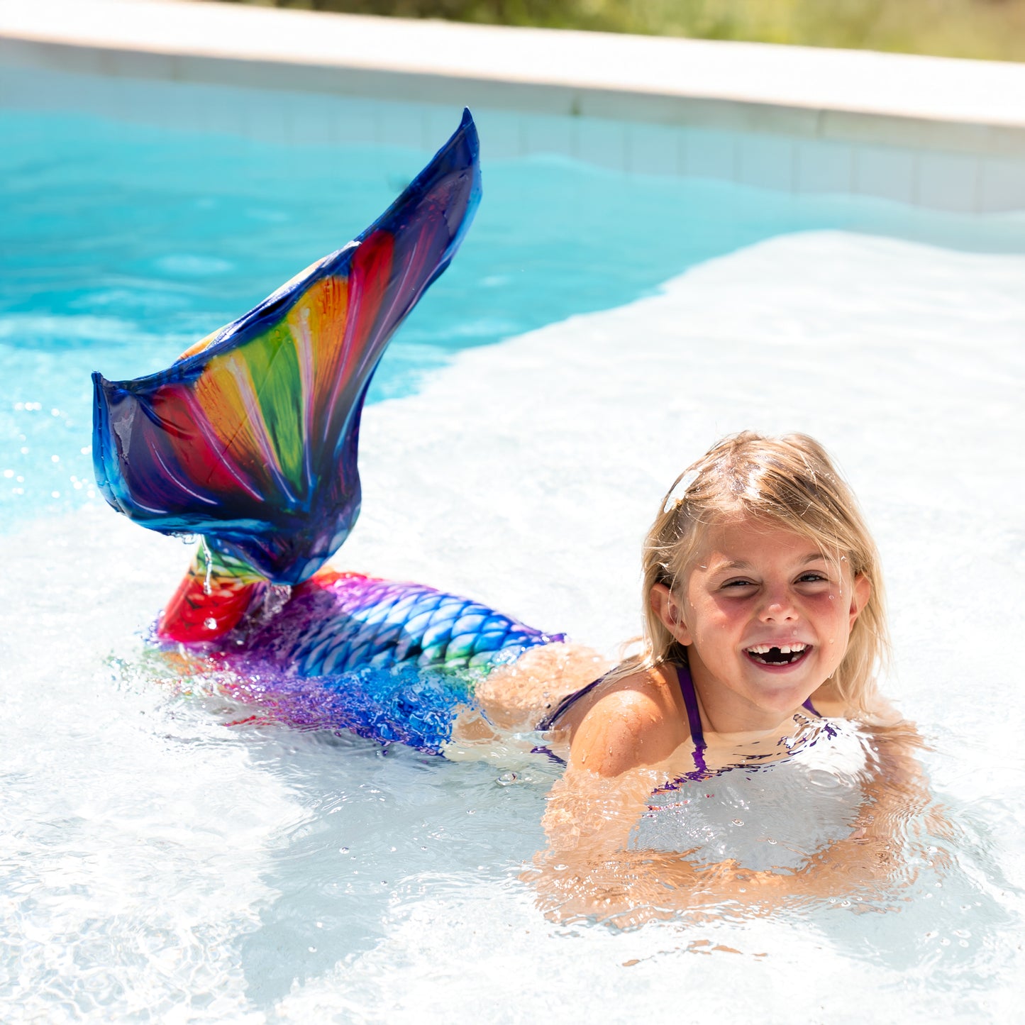 Regenbogen-Riff Meerjungfrauenschwanz